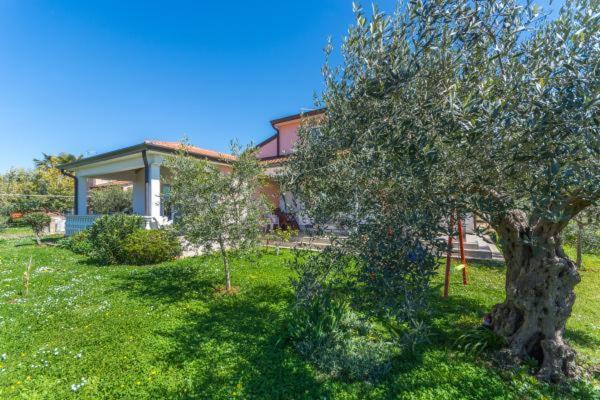 Apartment Liam Novigrad Istria Exterior foto